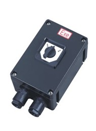 BLK8060防爆防腐斷路器最低價(jià)格（IIC），戶外用的防腐斷路器