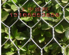eʽo¡5%\XϽW(wng)䡾ߠʯ\W(wng)ʯ\W(wng)-ʯ\W(wng)S