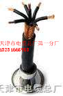 (ƣN|KVVRPC14*16/0.20(jng)