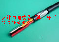 礦用控制電纜MKVV 2*1/1.38（金牌產(chǎn)品）暢銷世界
