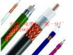 ֱNSYVPVP,50-2ҕlͬSp|