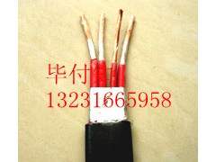 pgRVVSP10*2*0.75pg