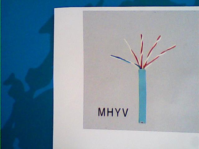 (yng)MHYVRP-327/0.28ܛоεVͨ|