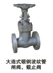 防盜閘閥、鍛鋼波紋管閘閥、美標閘閥、潮州湘橋楓溪潮安閥門