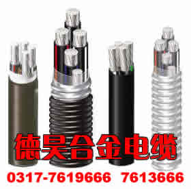 ZB-ACWU90（YJHLV82）鋁合金電纜-德昊鋁合金鎧裝護(hù)套