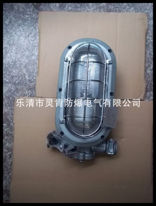 礦用支架燈,礦用LED支架燈,35W支架燈,礦用支架燈價(jià)格
