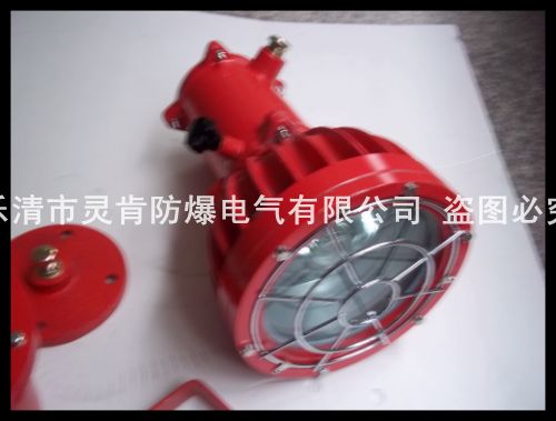DGC175/127，DGC175/127礦用投光燈，175W