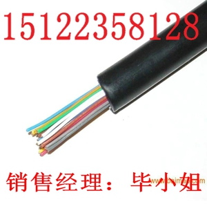 供應(yīng)【視頻線/同軸電纜】SYV50-12(價格/報）【廠家直銷】
