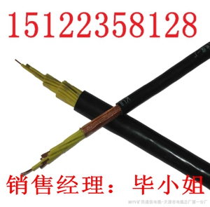 供應(yīng)組合電纜:復(fù)合電纜-SYV75-5-RV-RVP+RV22價(jià)格