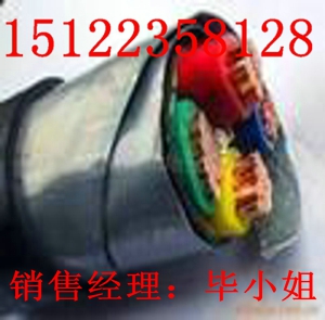 供應SYV75-5+RVV+RVVP復合電纜（價格/報價）廠家直銷