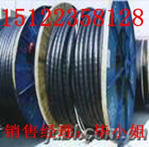最新供應(yīng)射頻同軸電纜SYV-50-7；SYV-50-9/價(jià)格/報(bào)價(jià)