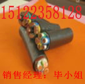 最新供應(yīng)射頻同軸電纜SYV/價(jià)格/報(bào)價(jià)