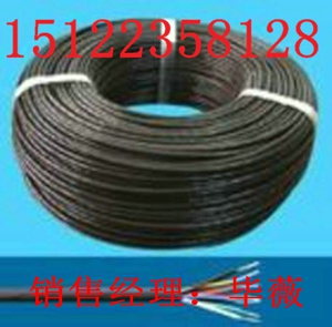 國標(biāo)耐高溫視頻監(jiān)控線SFF-75-5-2價(jià)格-耐高溫視頻監(jiān)控線報(bào)價(jià)