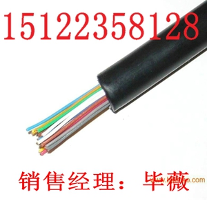 國際品質(zhì)阻燃鎧裝視頻線ZR-SYV22,ZR-SYV23價格-阻燃