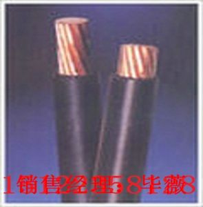 國際品質(zhì)石家莊RVS線價格-石家莊RVS線報價