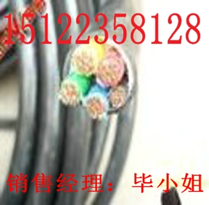 最新供應(yīng)SYV實心聚乙烯絕緣射頻電纜 同軸電纜/價格/報價