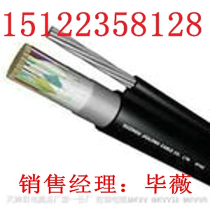 最新供應(yīng)16芯廣播電纜價(jià)格報(bào)價(jià)天津市電纜總廠第一分廠推薦