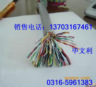 揚聲器電纜 |驅(qū)動揚聲器電纜 HAV 2X32X0.15