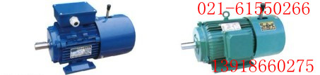 YEJ100L-6電磁制動(dòng)電動(dòng)機(jī)|YEJ100L-6制動(dòng)電機(jī)（圖）