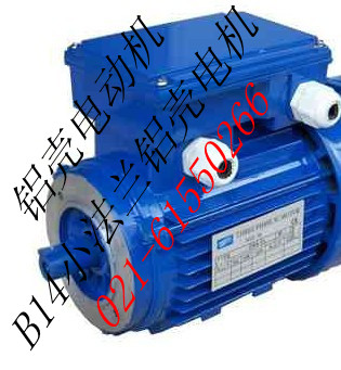 鋁殼電動(dòng)機(jī)180W|三相鋁殼電動(dòng)機(jī)0.18KW（圖）