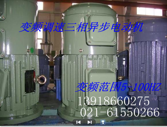 YVP200L-8變頻電動(dòng)機(jī)|YVP200L-8電機(jī)、配件