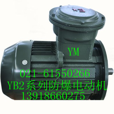 YB2-180M-2防爆電機|防爆電機價格|上海亞琦