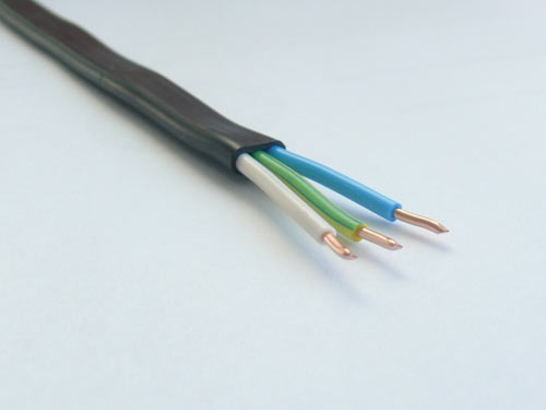 天津RVVP電纜批發(fā):RVVP電纜報(bào)價(jià)