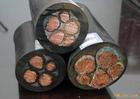MC采煤機(jī)電纜小貓牌