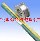 懺zERNi-1