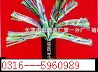 (yng)(du)(sh)ͨ|(lin)