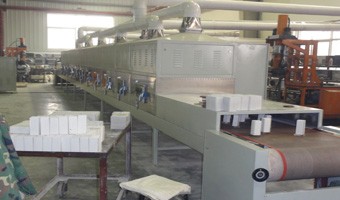 微波浸膏，微波調(diào)味品，微波香辛料，微波復(fù)合料干燥殺菌機(jī)