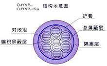 IA本安電纜，IADJYVP22，IADJYVP32，