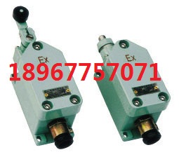 8077-1/11防爆行程開(kāi)關(guān) IIC級(jí)