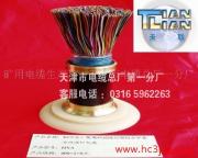 電纜計算機(jī)電纜PCM數(shù)據(jù)電纜RS485