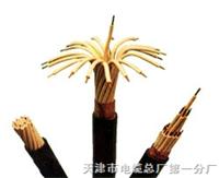 鐵路信號(hào)電纜-PTY；PTY03；PTY23
