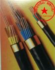 供應(yīng)YCW橡套電纜-YCW橡套電纜-YCW橡套電纜