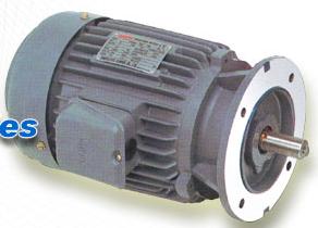 臺(tái)灣東元普通電機(jī)
