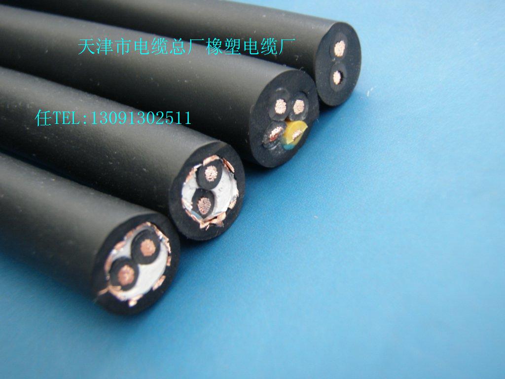 標(biāo)準電子計算機控制電纜 DJYVP2電纜 DJ