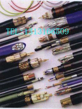 DJYVP22，DJYJVP22，DJVVP22鎧裝型計(jì)算機(jī)電纜