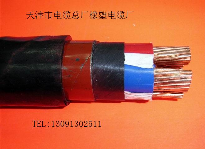 計算機電纜供應商，DJYVP電纜最新價格