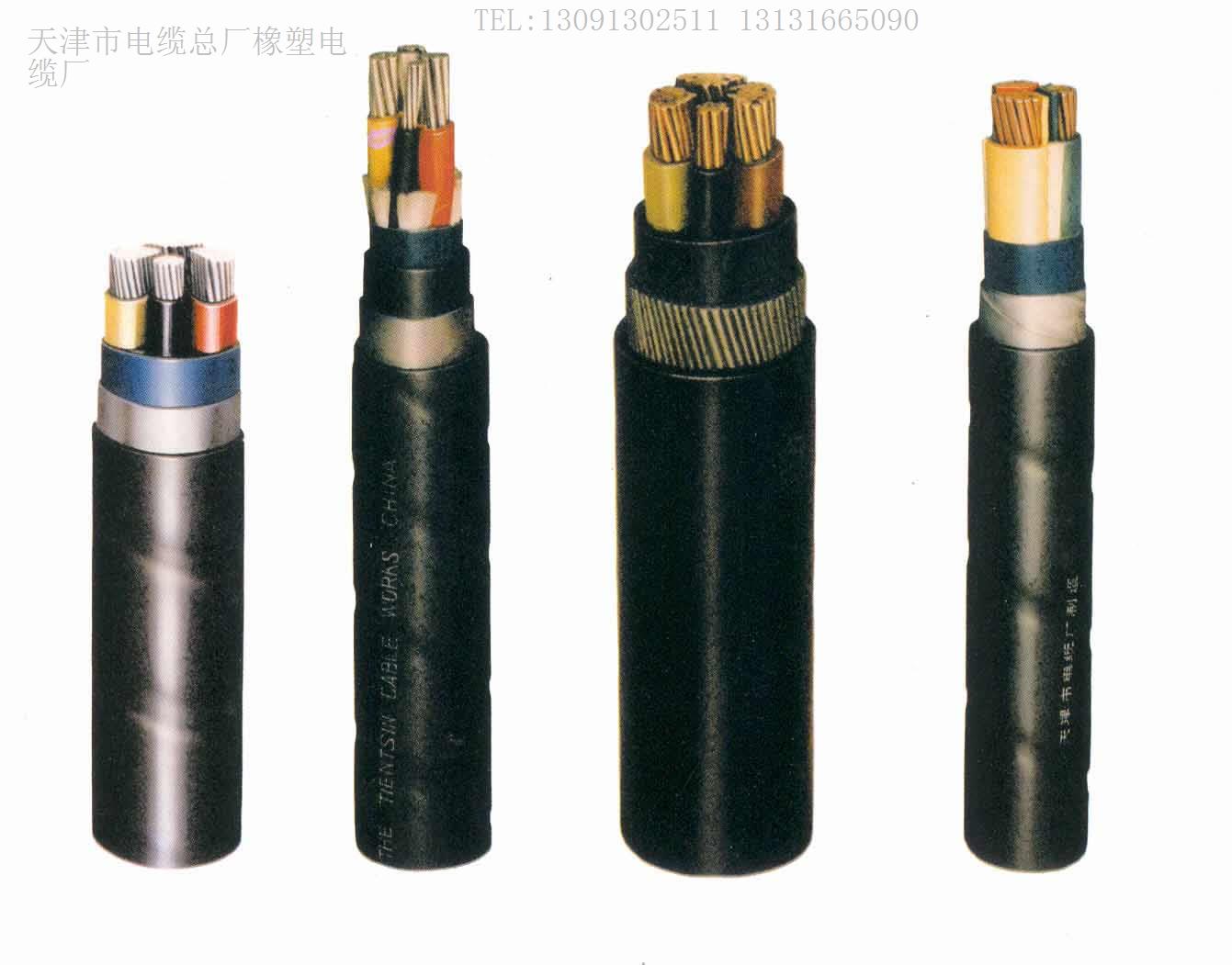 廠家報(bào)價(jià) RVV軟芯電纜供應(yīng)商