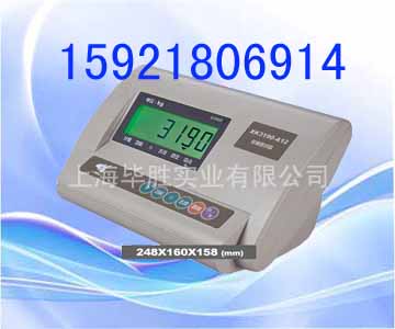 稱重儀表，稱重顯示器，臺(tái)秤儀表，臺(tái)秤顯示器，A12儀表，耀華稱重儀