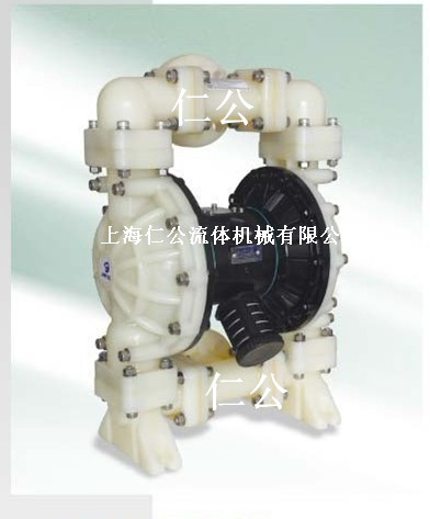 氣動聚丙烯隔膜泵RG DN40