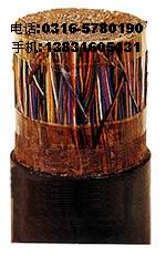 供應(yīng)HYV 30(2*0.5）電纜價格 HYV30*2*0