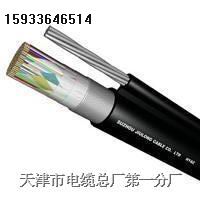 HYAC300x2x0.4,0.5,HYAC通訊電纜,電話電纜價格