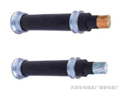 銷售鎧裝電纜、鎧裝耐油電纜