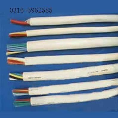 KFVR電纜，KFVR電纜價(jià)格，國(guó)標(biāo)的KFVR電纜