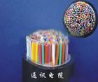 300×2×0.5，大對數(shù)通信電纜