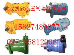 專業(yè)生產(chǎn)【YBX-16】DSG-02-2D2-D2-20