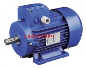 煙臺紫光電機(jī)，濰坊紫光電機(jī)，南寧紫光電機(jī)，YS6324，紫光電機(jī)